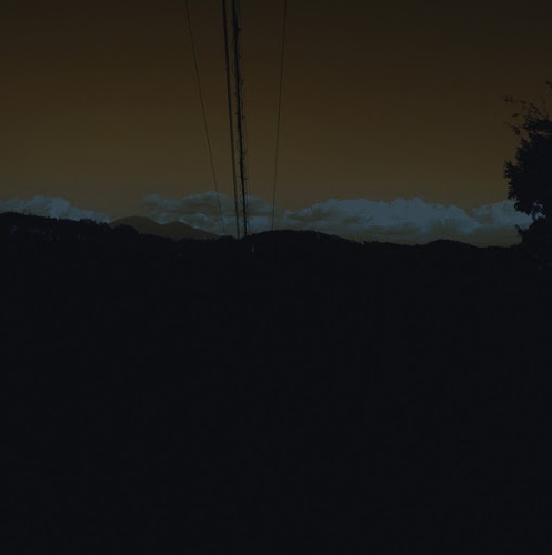 Couverture TO MAGNETIZE MONEY AND CATCH A ROVING EYE de Jim O'ROURKE