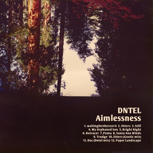 Couverture AIMLESSNESS de DNTEL