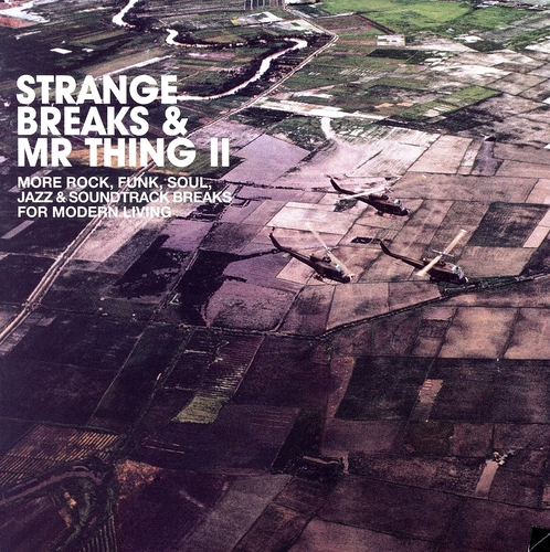 Couverture STRANGE BREAKS & MR THING II de MR THING