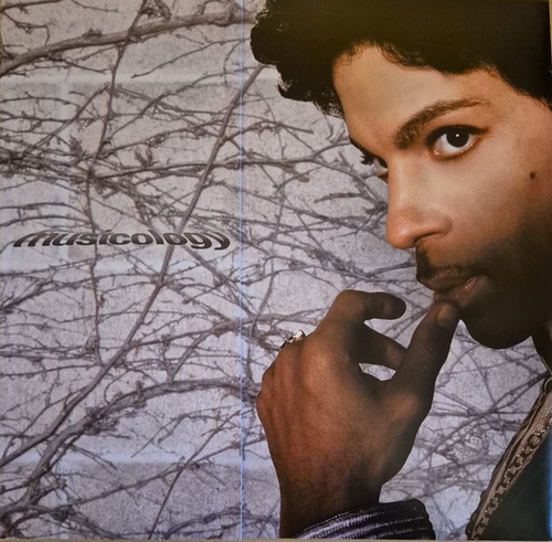 Couverture MUSICOLOGY de PRINCE