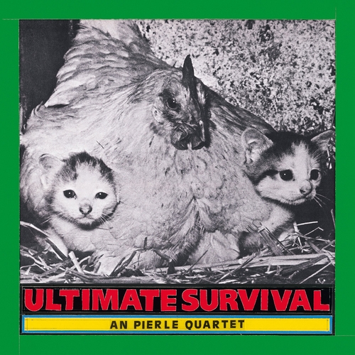 Couverture ULTIMATE SURVIVAL de An PIERLÉ QUARTET