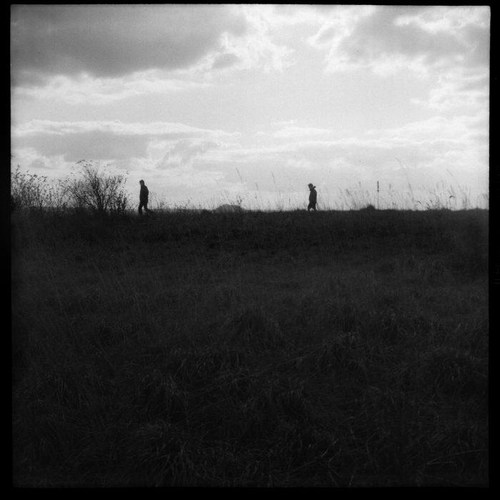 Couverture LES YEUX VERS LE CIEL : PORTRAIT D'UN COLOMBOPHILE de Emmanuel MASSART