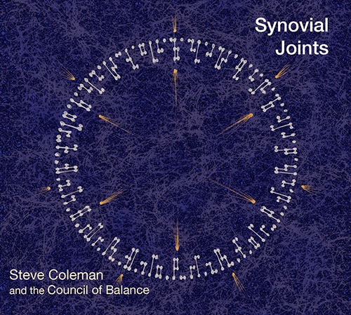 Couverture SYNOVIAL JOINTS de Steve COLEMAN AND THE COUNCIL OF BALANCE