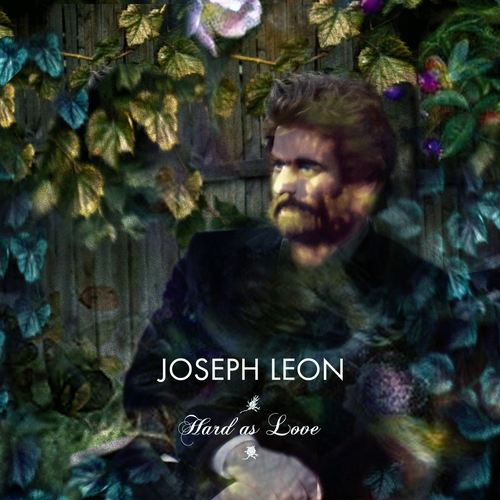 Couverture HARD AS LOVE de Joseph LEON