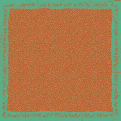 Couverture NO PLEASURE de USA NAILS