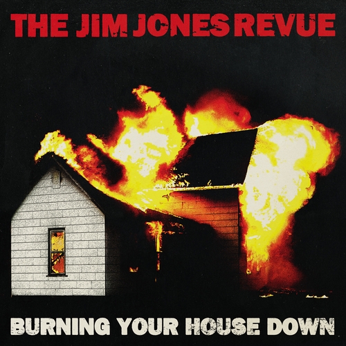 Couverture BURNING YOUR HOUSE DOWN de Jim THE JONES REVUE