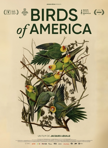 Couverture BIRDS OF AMERICA
