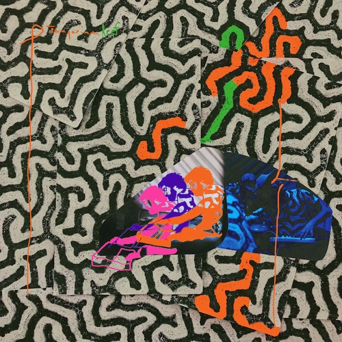 Couverture TANGERINE REEF de ANIMAL COLLECTIVE