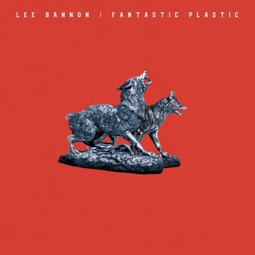 Couverture FANTASTIC PLASTIC de Lee BANNON