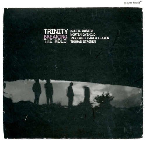 Couverture BREAKING THE MOLD de TRINITY