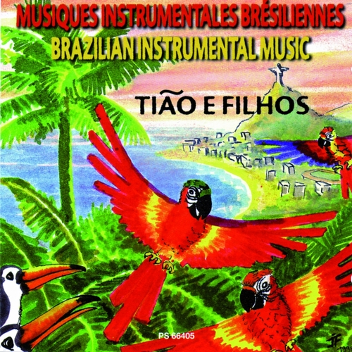 Couverture MUSIQUES INSTRUMENTALES BRESILIENNES de Sebastião ROCHA PERAZZO
