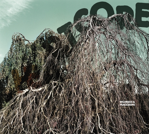Couverture HEARTCORE de WILDBIRDS & PEACEDRUMS
