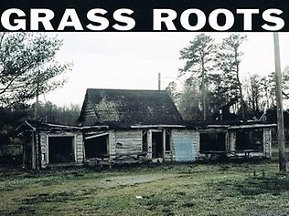 Couverture GRASS ROOTS de Sean CONLY/HARDING/JONES/TAYLOR