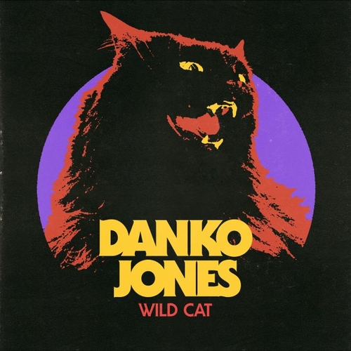 Couverture WILD CAT de DANKO JONES