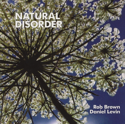 Couverture NATURAL DISORDER de Rob BROWN & DANIEL LEVIN