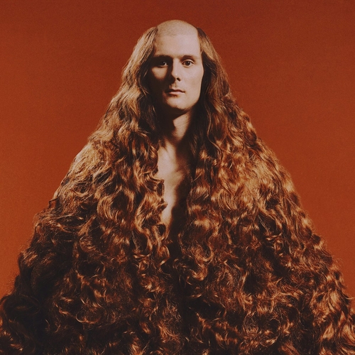 Couverture LIMPORTANCEDUVIDE de JACQUES