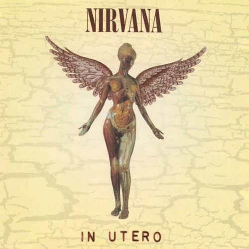 Couverture IN UTERO (20TH ANNIVERSARY - SPECIAL EDITION) de NIRVANA