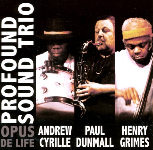 Couverture OPUS DE LIFE de THE PROFOUND SOUND TRIO
