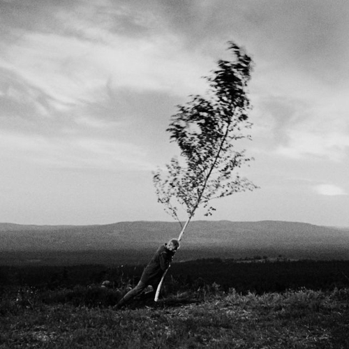 Couverture AVALANCHE de Rodolphe BURGER