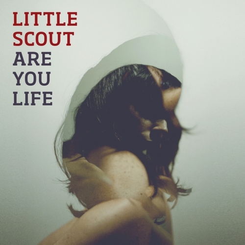 Couverture ARE YOU LIFE de LITTLE SCOUT