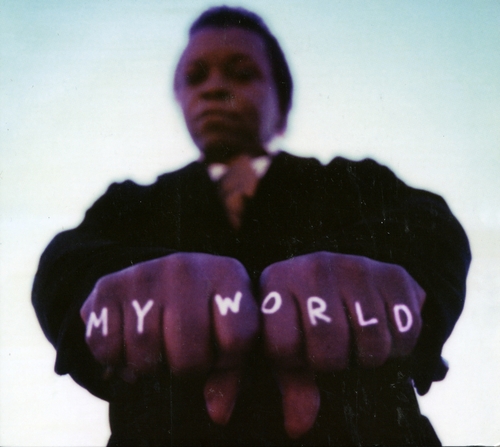 Couverture MY WORLD de Lee FIELDS