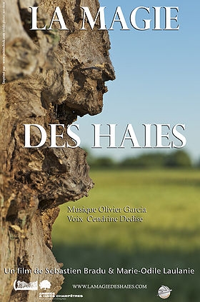 Couverture LA MAGIE DES HAIES