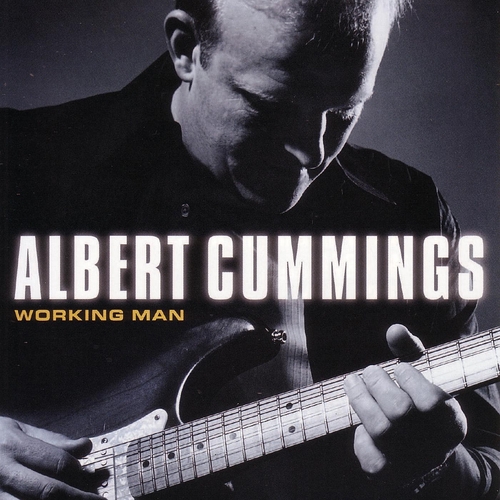 Couverture WORKING MAN de Albert CUMMINGS