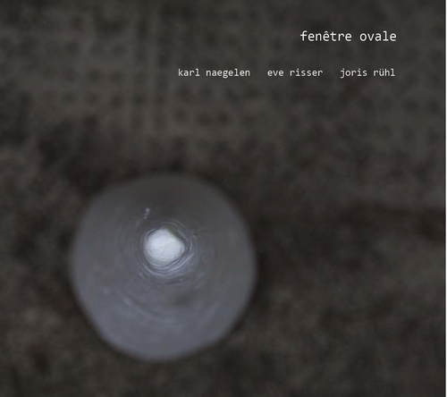 Couverture FENÊTRE OVALE de Karl NAEGELEN/RISSER/RÜHL