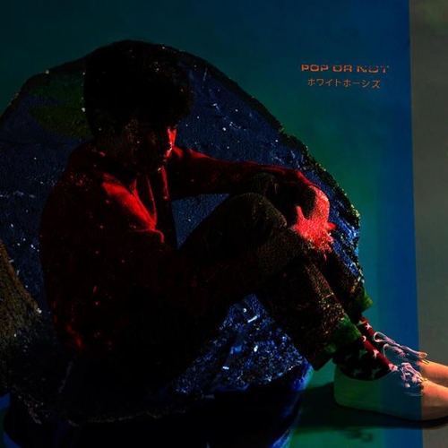 Couverture POP OR NOT de WHYTE HORSES