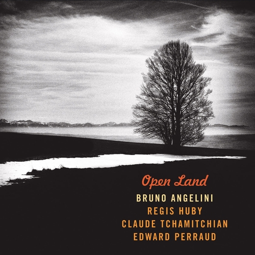 Couverture OPEN LAND de Bruno ANGELINI