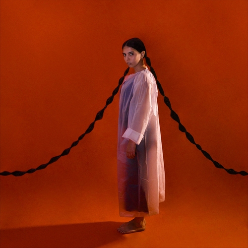 Couverture VOU FICAR NESTE QUADRADO de Ana Lua CAIANO