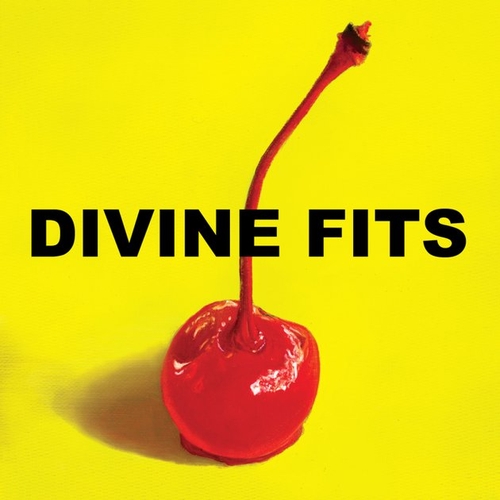 Couverture A THING CALLED DIVINE FITS de DIVINE FITS
