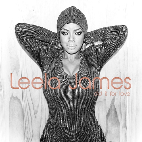 Couverture DID IT FOR LOVE de Leela JAMES
