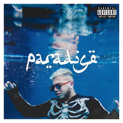 Couverture PARADISE de HAMZA