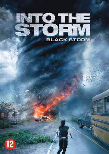 Couverture INTO THE STORM de Steven QUALE