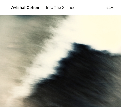 Couverture INTO THE SILENCE de Avishai COHEN.