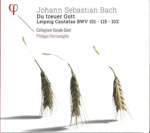 Couverture DU TREUER GOTT LEIPZIG CANTATAS BWV 101,115,103 de Johann Sebastian BACH