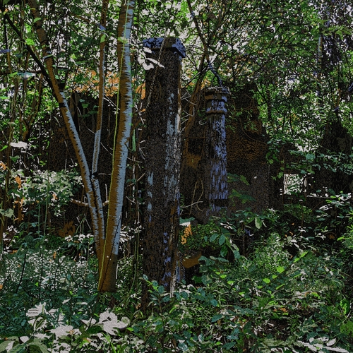 Couverture SALOS de MEROPE