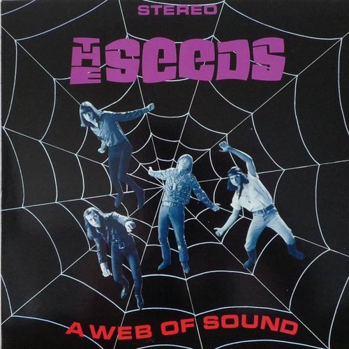 Couverture A WEB OF SOUND (DELUXE EDITION) de THE SEEDS