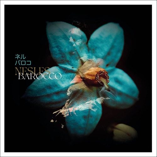 Couverture BAROCCO de NESLES