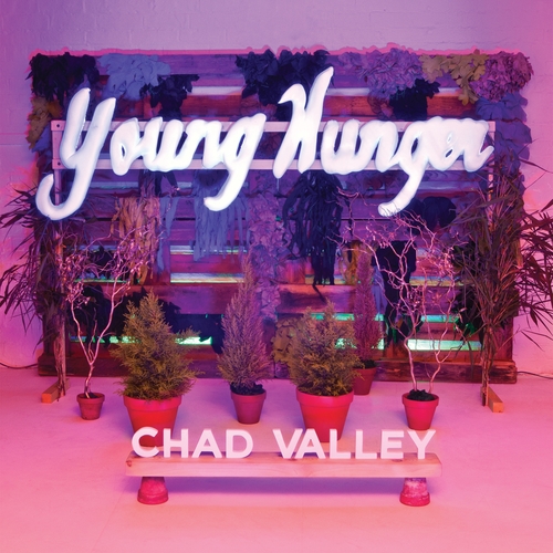 Couverture YOUNG HUNGER de CHAD VALLEY