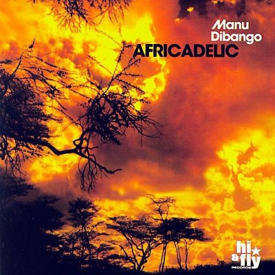 Couverture AFRICADELIC de Manu DIBANGO