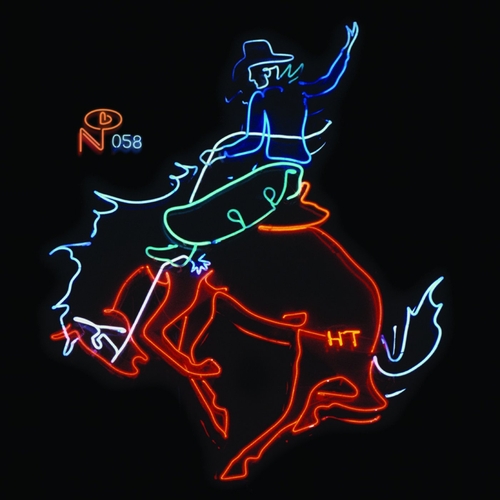 Couverture WAYFARING STRANGERS: COSMIC AMERICAN MUSIC