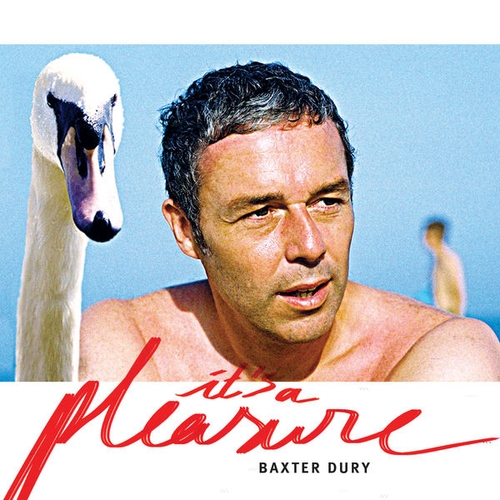 Couverture IT'S A PLEASURE de Baxter DURY