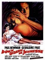 Couverture DOUX OISEAU DE JEUNESSE de Richard BROOKS