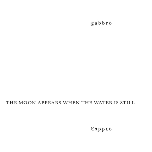 Couverture THE MOON APPEARS WHEN THE WATER IS STILL de GABBRO