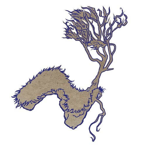 solastalgie - lorette moreau