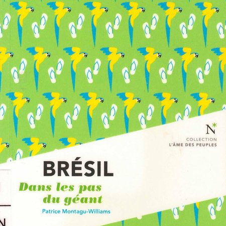 Brésil dans le pas