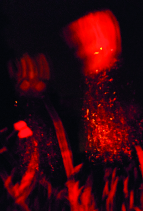 C.A.R., Méristèmes, mai 2019, -h-.jpg