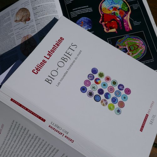 Céline Lafontaine.jpeg